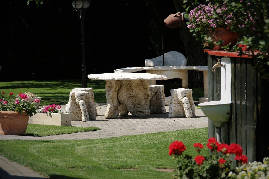 Guest house Halasz Airport Panzio